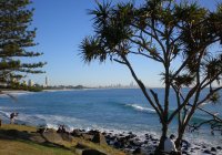 140707 Burleigh Heads 140707 Burleigh Heads